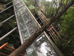 -佛爷洞旅游景区
