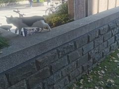 -萨莉亚意式餐厅(三号湾广场店)