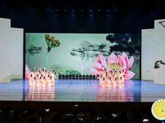 -舞蕾舞蹈(特长生校区)