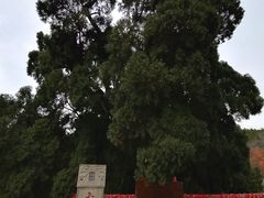 -四门塔风景区