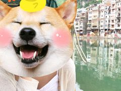 -罗满娘特色豆花烤鱼