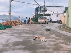 -枸杞岛