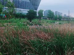 -桂溪生态公园