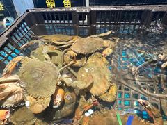 -九月海·海鲜自助(世纪东方店)
