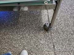 -中国人民武装警察部队特色医学中心