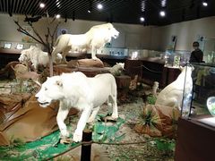 -陕西自然博物馆