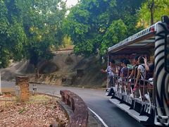 -清迈夜间动物园