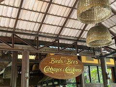 -卷心菜和避孕套餐厅(Pattaya)