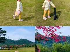 -风云岭森林公园