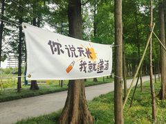 -歌斐颂巧克力小镇