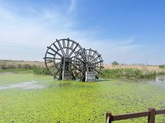 -宁波杭州湾国家湿地公园