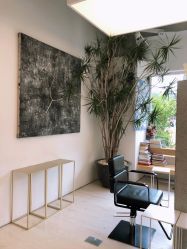 -Hair  Gallery