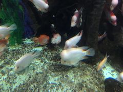 -泉城欧乐堡海洋极地世界