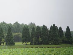 -宜兴龙背山森林公园