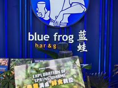 -bluefrog蓝蛙(皇庭广场店)
