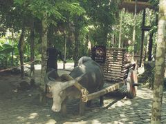 -海南槟榔谷黎苗文化旅游区