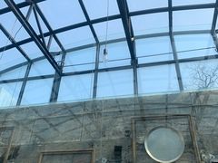 -Tubestation站点比萨(五道营店)