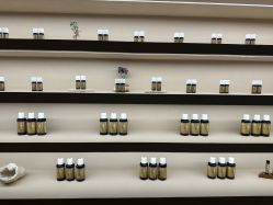 -芳香乐府疗愈空间·SPA·冥想