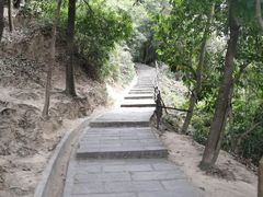 -火炉山森林公园