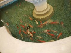 android_upload_pic-北京新世纪饭店(动物园地铁站店)