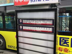 -国际邮轮中心码头(厦鼓码头)