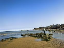 -秦皇星际小蚂蚁乐园