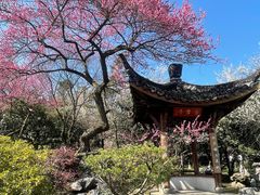 -杭州植物园
