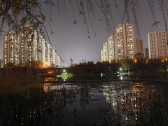 -前关湿地公园