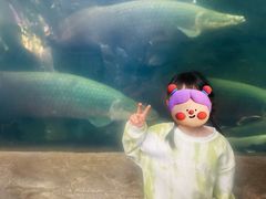 -青青世界
