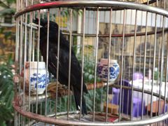 -九尊食上(生态园林酒店)