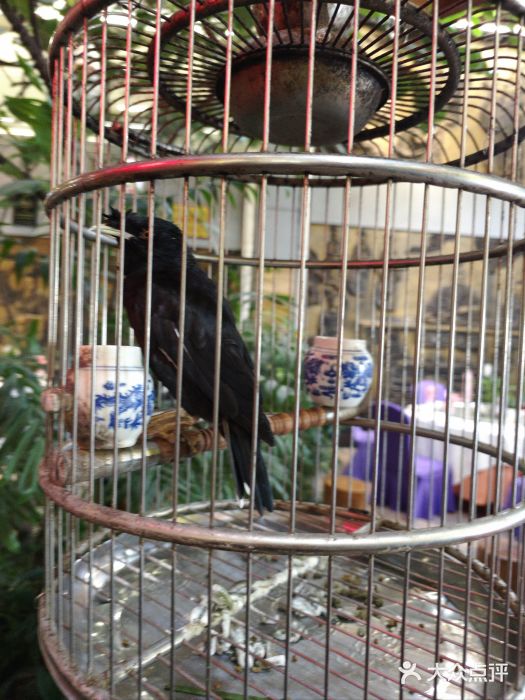 九尊食上(生态园林酒店)图片