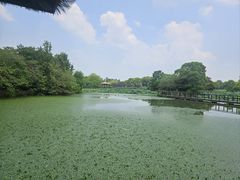-苏州太湖国家湿地公园