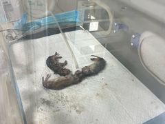 -北京佳信宠物医院