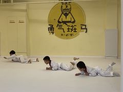 -勇气斑马·巴西柔术&跆拳道(浦东三林店)