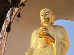 -庐山风景名胜区-东林大佛