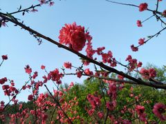 -重庆彩云湖湿地公园