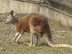 -西安秦岭野生动物园