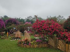 -中国科学院西双版纳热带植物园