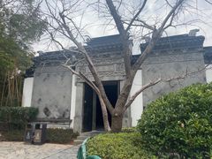 -东山雕花楼