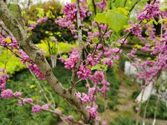 -杭州城北体育公园