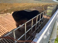 -小鱼草莓采摘园农家乐·小鱼餐厅