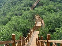 -大岭沟猕猴桃谷风景区
