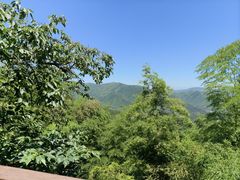 -莫干山风景区
