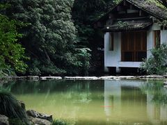 -杭州植物园