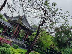 -飞来湖湿地公园