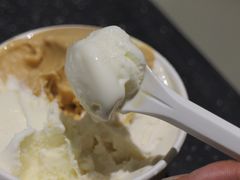 -Dip in Gelato(富民路店)