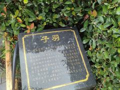 -绳金塔