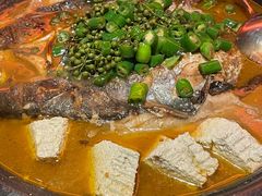 鲜青椒爽麻烤鱼-探鱼·鲜青椒爽麻烤鱼(正佳广场店)