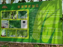 -北戴河集发农业梦想王国
