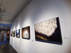 -瓦库茶馆17号(海汇港店)
